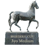The 3yo Middle Breeder Cup